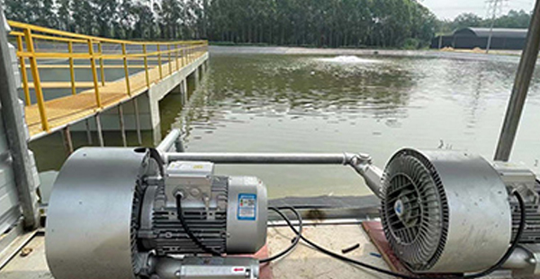 工廠化水產養(yǎng)殖設備品牌定位案例分析