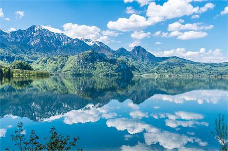 爆文800萬學區房帶給文案的思考