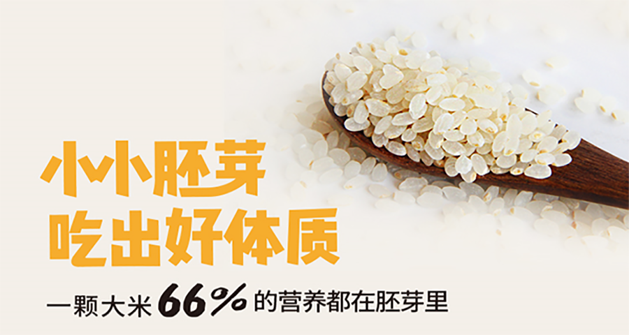 大米品牌戰略分析