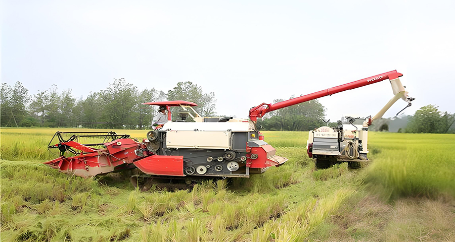 五常大米品牌戰略的方案