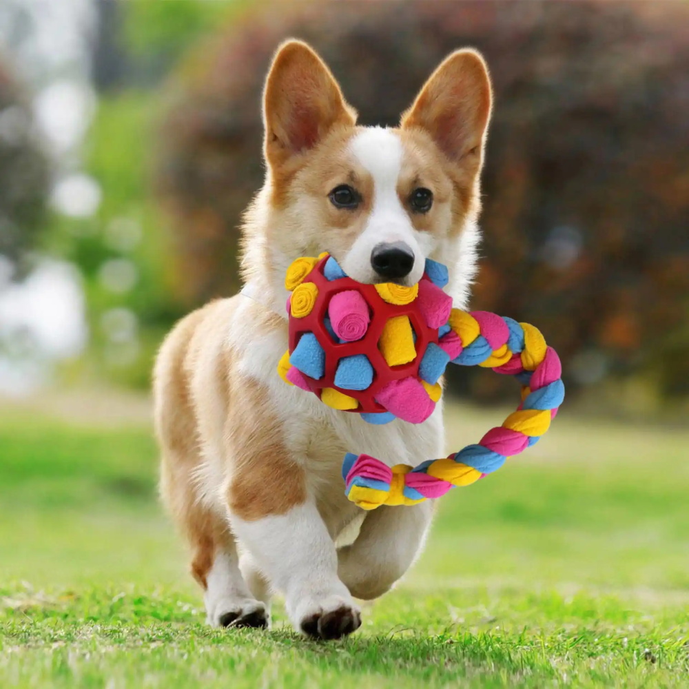 寵物用品品牌定位公司有哪些